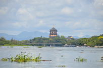 ����������̳��ַ��������