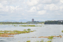 ����������̳��ַ���ۺ�