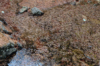 ��ɽ����ƺ���˹Ⱥ��� 