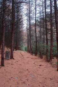 ��ɽ����ƺ���˹�����