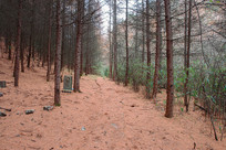 ��ɽ����ƺ���˹�����