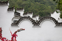 ���ɽ�����ǽ����