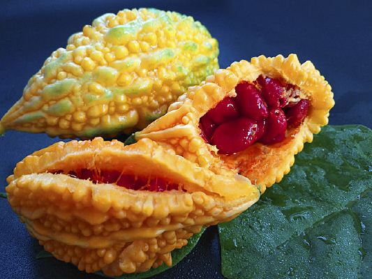 �����̹�������