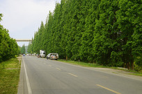 �ɶ��ֽ��ٸ�·�����е��е���