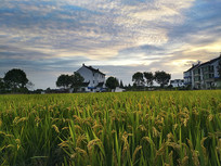 ����ϼ��