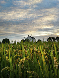 ���յ��ﵾ��