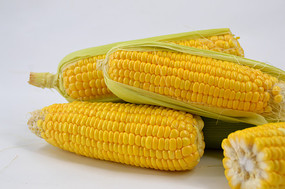 ļͼƬ