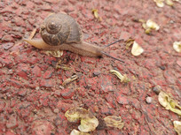 ������ǵ���ţ