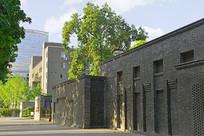 �Ĵ���ѧ-����ҽѧ����