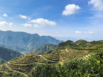 ��ɽ����԰