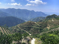 �������԰