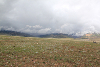 ����Ĳ�ԭֲ��