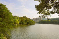 ���������羰��ʤ���Ϻ���Է