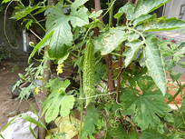 ũ��СԺ��Ŀ����