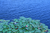 �ɻ�����