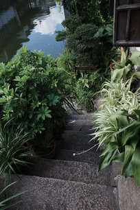 ɳϪ����ӱ�