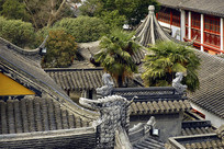 ���ݺ�ɽ���´�ͳ����Ⱥ���� 