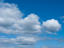 ������Ʊ����ز�