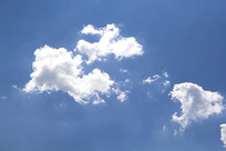 ��հ��Ʊ���