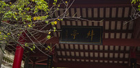 幫ͤ