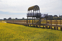 ����۹�ũҵ