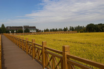 ������յ���