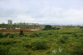 �ɶ�������������԰���蹤��