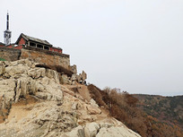 ɽ��������