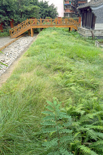 �ɶ��񺺾����������ַ