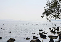 �����岨�����Եĺ���ʹ���