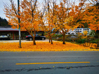 ���·��������