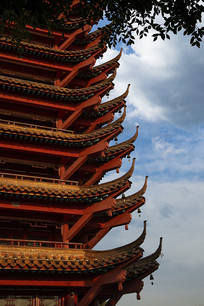 ��ɫ�ŷ罨������