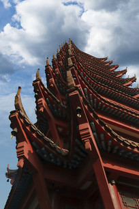 ���Ӻ�ɫ��������