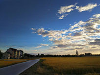 �ƺ���Ұ����