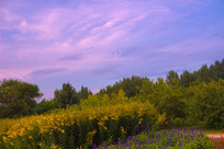 �����Ļ���