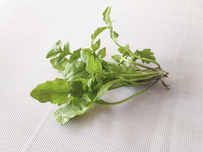 �׵�����