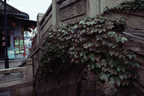 ʯ�����̻�