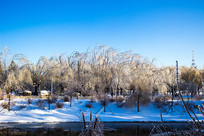 ѩ��ĺӰ�����