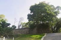 ����������½���-����̨