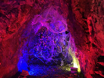 ��ɫ����