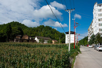 ��������ɽ�غ촻������ũ�� 