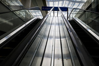 ����������µ���