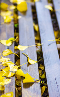 Ʈ�������Ҷ