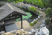 �����԰����ˮ��԰�ָ���