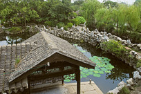 �����԰��������