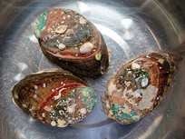 ������ɫ