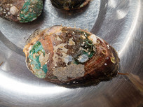 �����ʯ���ʱ���