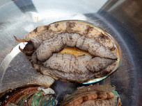 ����Ʒ����