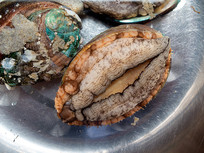 ��ζ����ʳ�ı���