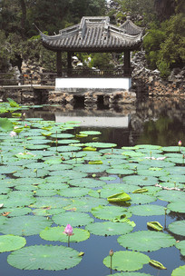 �����԰�ķ�ͤ���ɻ�